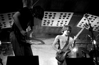 IMG_9643_nr_wb_bright1.00_mono_curves_sharpen.jpg